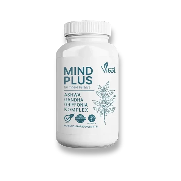 MindPlus
