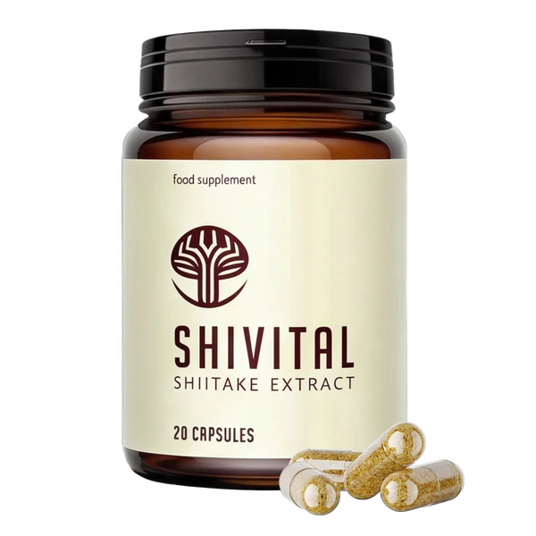 SHIVITAL SHIVITAL