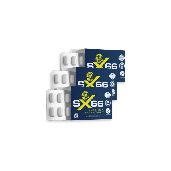 SX66